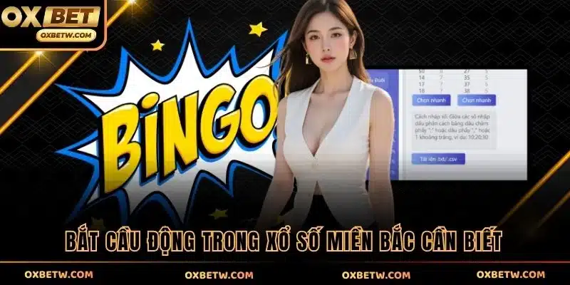 Bắt cầu động trong xổ số miền Bắc cần biết