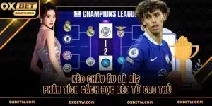 Kèo châu âu ảnh đại diện