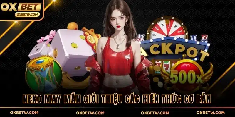 Neko May Mắn giới thiệu các kiến thức cơ bản