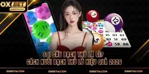Soi cầu bạch thủ ảnh đại diện
