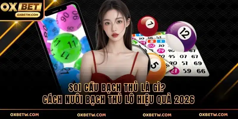 Soi cầu bạch thủ ảnh đại diện